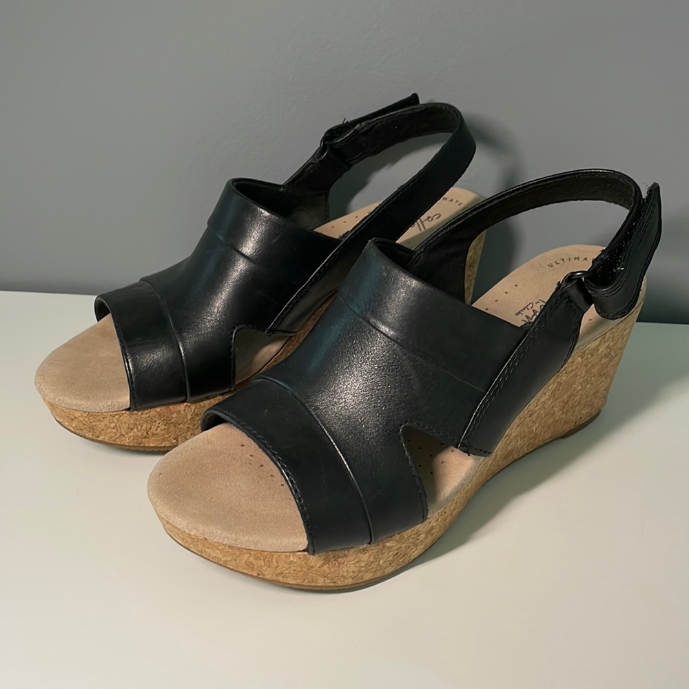 Clarks wedge sander